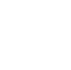 Trezor Icon